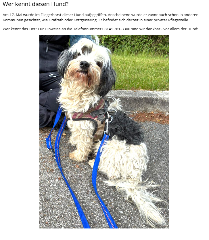 Fundhund