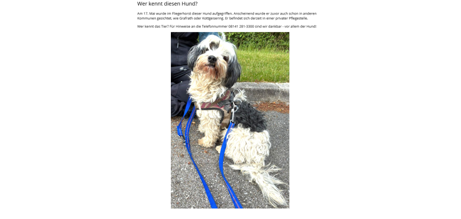 Fundhund